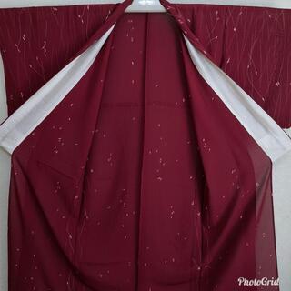 正絹☆絽 小紋 ワインレッドの画像