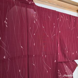 正絹☆絽 小紋 ワインレッドの画像