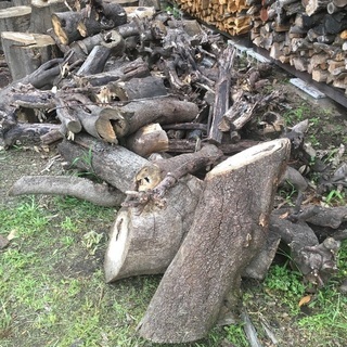 薪 樫の木の画像