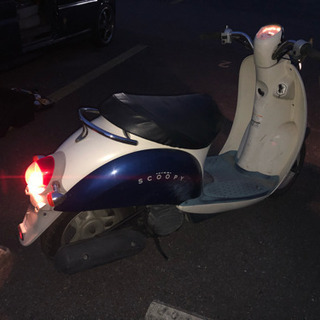 クレア スクーピーの画像