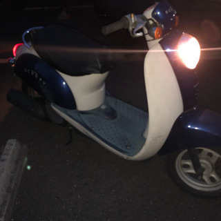 クレア スクーピーの画像