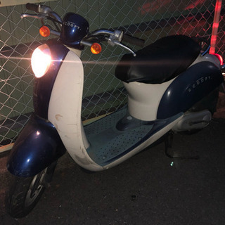 クレア スクーピーの画像