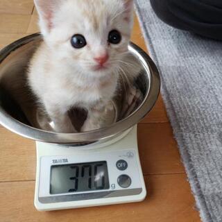 育児放棄