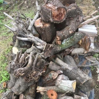 薪差し上げます、桜の木、樫の木、他広葉樹ミックスの画像