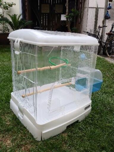 鳥かご(おまけ付き)