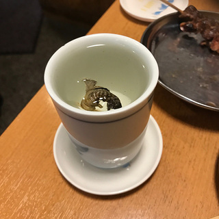 地元で飲み友募集！【20代～40歳までの男女】 - メンバー募集