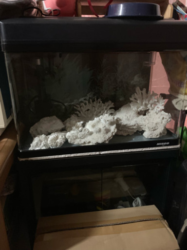 水槽 濾過器 ライト サンゴつき