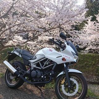 安全運転ライダーさん募集