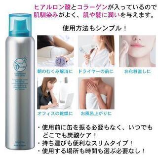 炭酸 炭酸 美容 ヘアー 髪 ヒアルロン酸 コラーゲン スプレー  新品 ミスト 肌 頭皮 美肌 潤い ヘアケア フェイスケアの画像