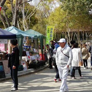 第107回アート・カルチャー・フェア浜松城公園2025［2/22(土)－2/23(日)］ - 浜松市