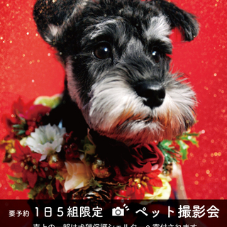 【PETFOREST　東久留米店】8月24日・25日(土日) ペ...