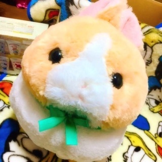 ぬいぐるみ