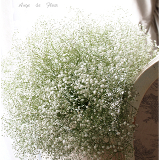堺市北区　実は今が開花時期！！かすみ草のリースを作りましょ　余った花材でブーケも！の画像