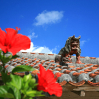沖縄移住しませんか？（八重瀬町編）掲載以外もございます