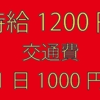 単発7/29・30限定　時給1200円交通費1日1000円支給　　