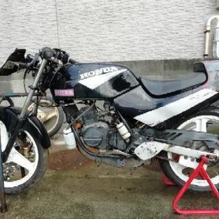NS-50F サーキット用 N5 NS50F ゴエフ