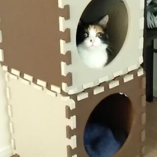 ママ友募集中です。