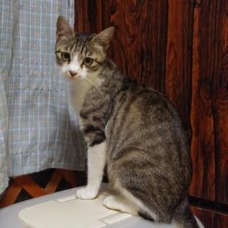 分け隔てなく優しいマミー