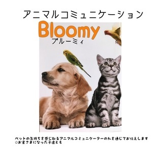 アニマルコミュニケーション  ブルーミィ  出店のお知らせ