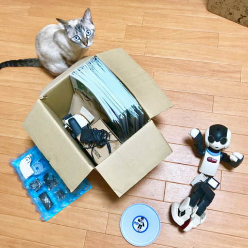 【引取りor着払い】立てなかったRobi【全組み立てマガジン、パーツ付き】