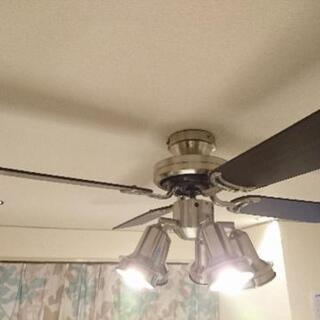 シーリングファンライトの画像
