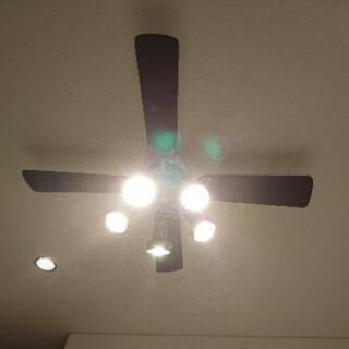 シーリングファンライトの画像