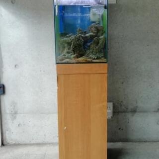 海水水槽一式　無料でお譲りします。