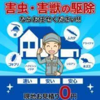 ‼️ゴキブリ駆除ならお任せください‼️