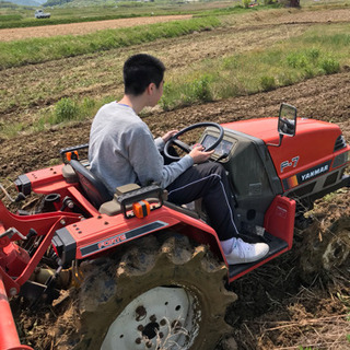 ヤンマーF-7  本日限定価格の画像