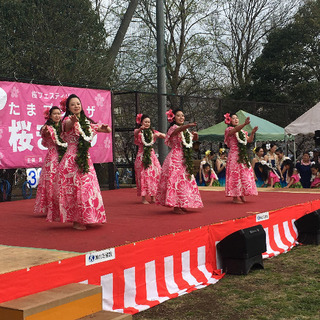 相模原市　キッズフラダンス　★マヘアラニ★　フラダンス無料体験　火曜日・水曜日　夕方　の画像