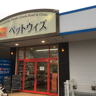 【短時間】ペットショップでのお世話のお仕事の画像