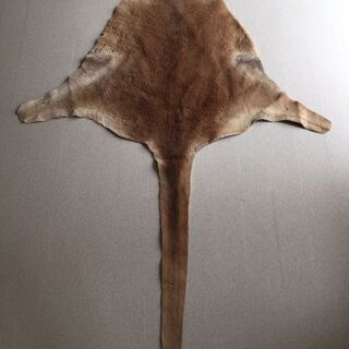 海外入荷！カンガルーの革🇦🇺皮　　