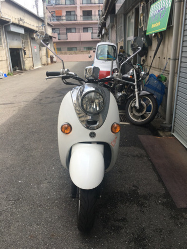 ビーノ人気の白！