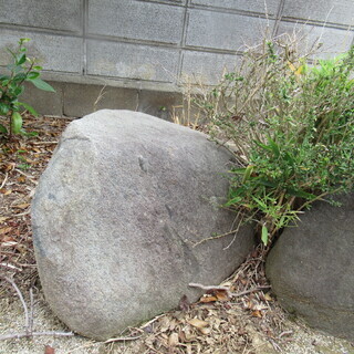 庭石　無料で差し上げます