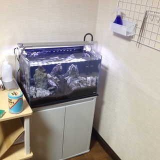 ADAセット ADA 水槽セット