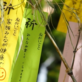 7月7日（日）七夕イベント開催決定