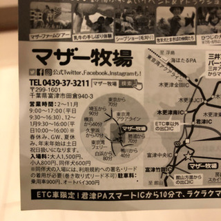 【3000円相当】マザー牧場 招待券【6/30まで】の画像