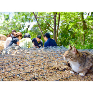エンジョイ登山♬