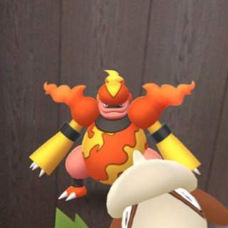 ポケモンGOトレイナ－