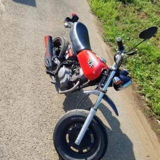 ホンダ エイプ 50 HONDA ape50 AC16 検 エイ...