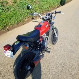 ホンダ エイプ 50 HONDA ape50 AC16 検 エイプ マグナ モンキー ゴリラ 原付 50cc バイクの画像