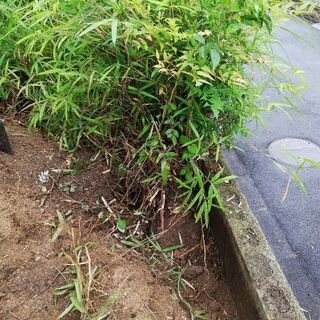 整地作業　時給1000円～の画像