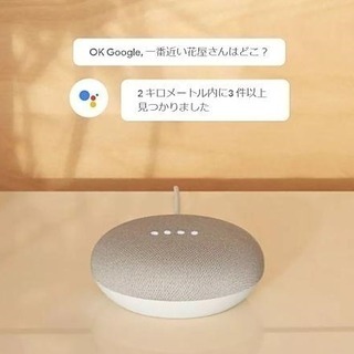【新品・未開封】Google home mini（チョーク）の画像