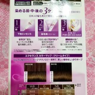 新製品❗新品未使用ロレアルパリエクセランス6NGの画像