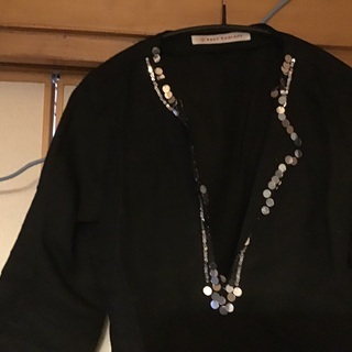 チェニクbrausuの画像