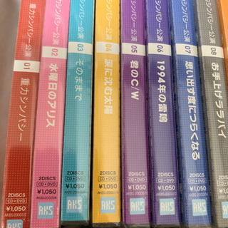 AKB48  CD  19枚