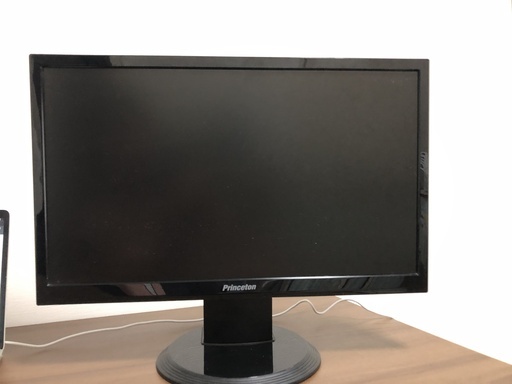 Princeton 21インチ ディスプレイ