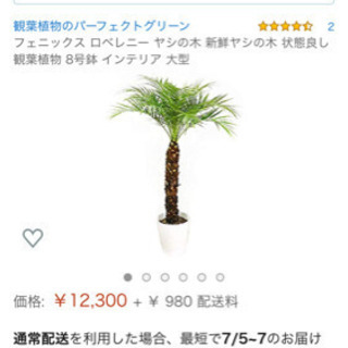フェニックス ロベレニー 