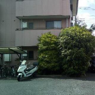 剪定　草刈り　伐採承ります　三郷　吉川　越谷　草加　足立区　流山