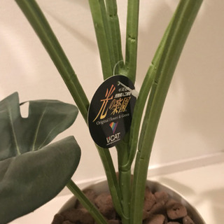 部屋をお洒落に飾れるイミテーション観葉植物 モンステラ